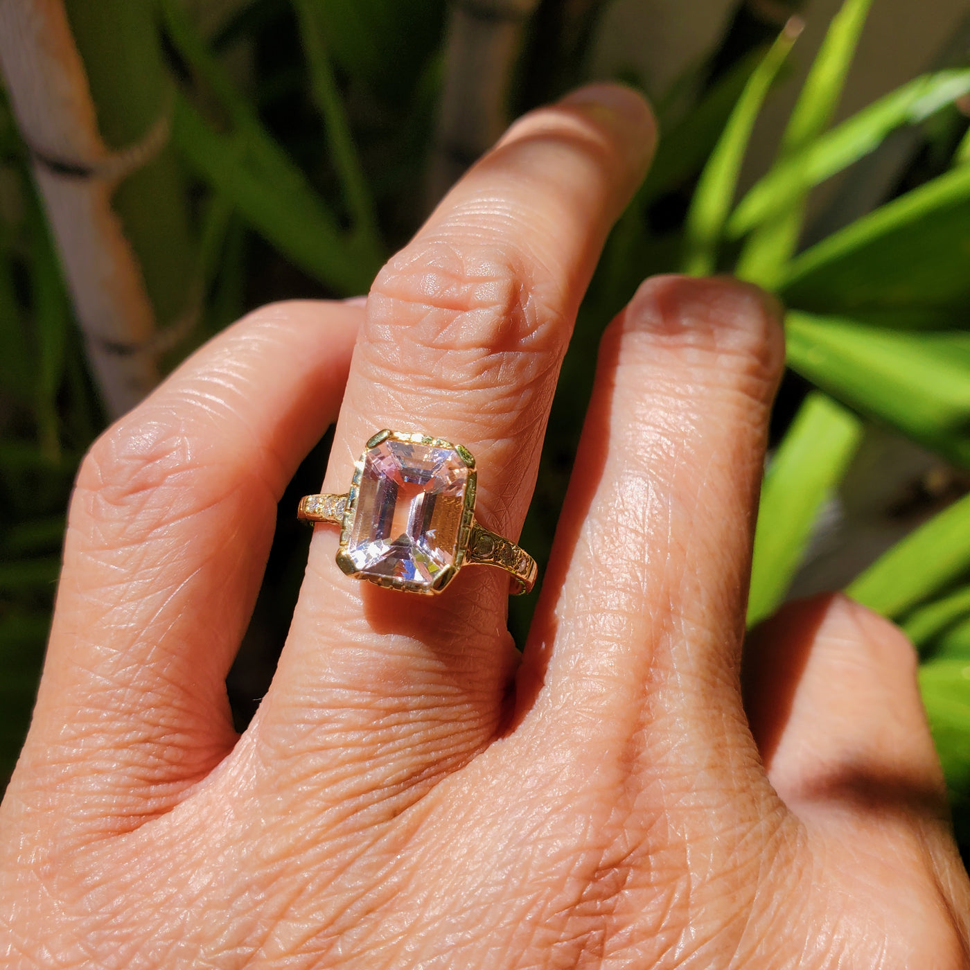 Enchanted Morganite Shield Ring