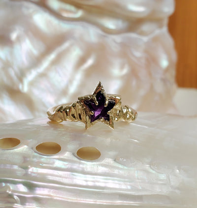 Guardian Amethyst Star Ring