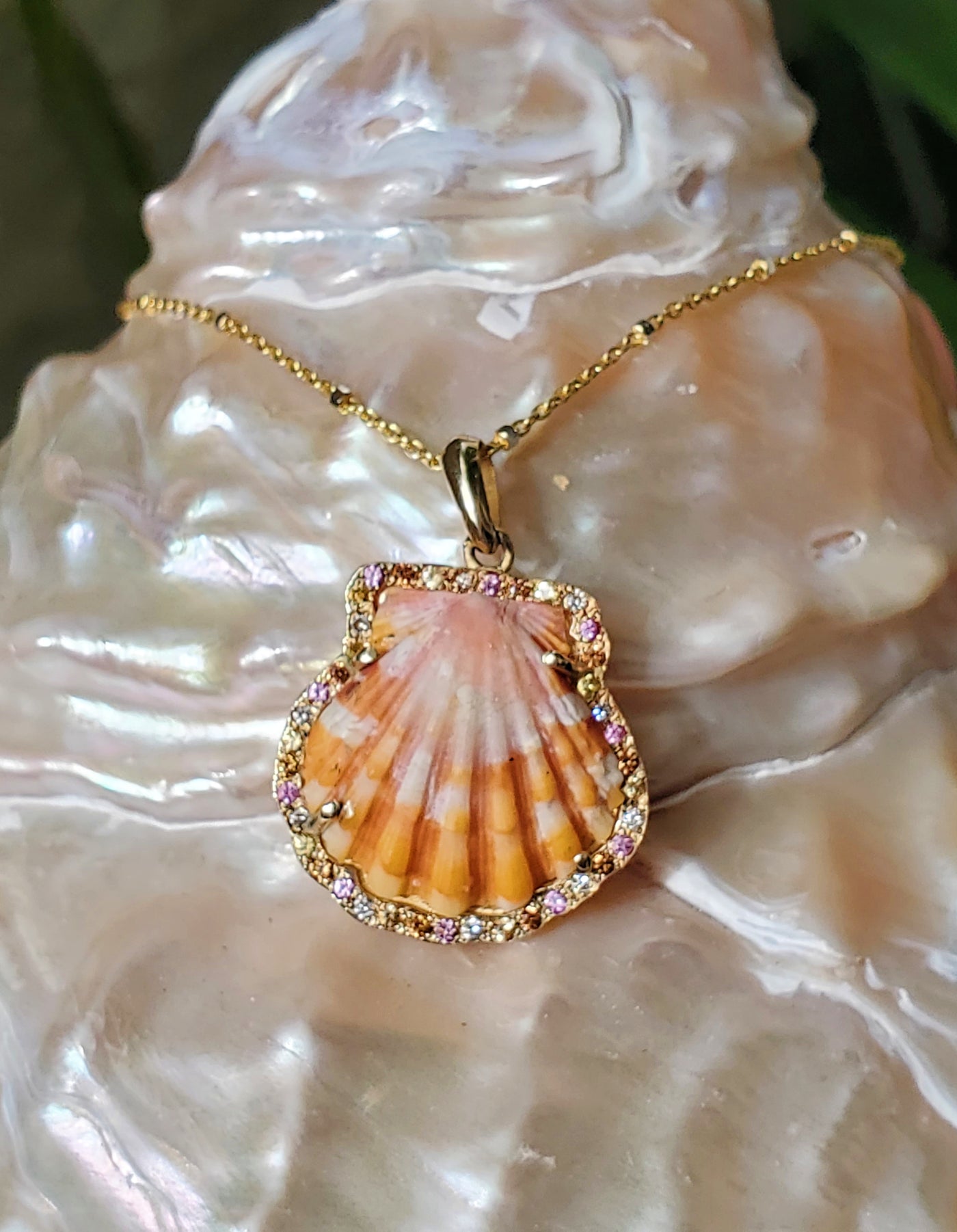 Enchanted Sunrise Shell Necklace  * Small