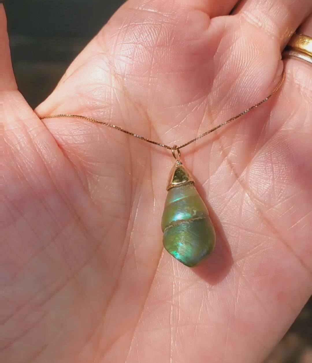 Enchanted Blue Green Kelp Shell Necklace * Medium II