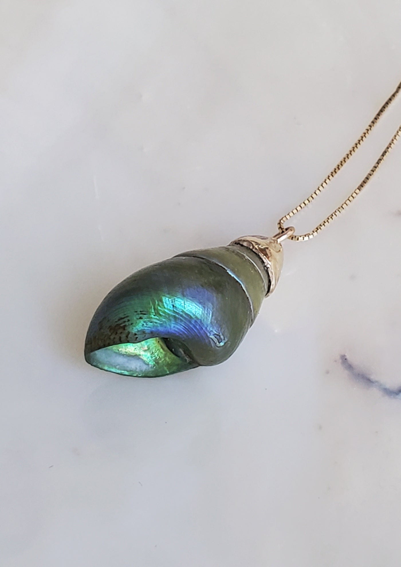 Enchanted Blue Green Kelp Shell Necklace * Medium II