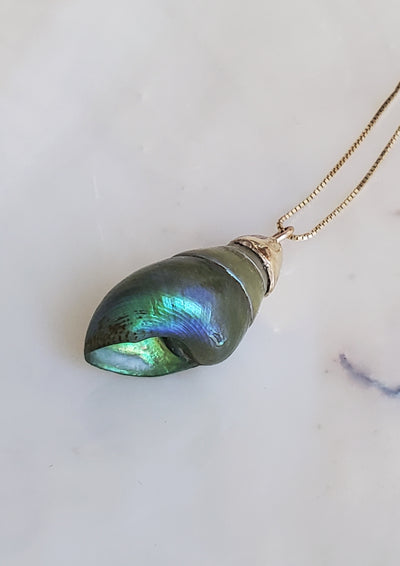 Enchanted Blue Green Kelp Shell Necklace * Medium II