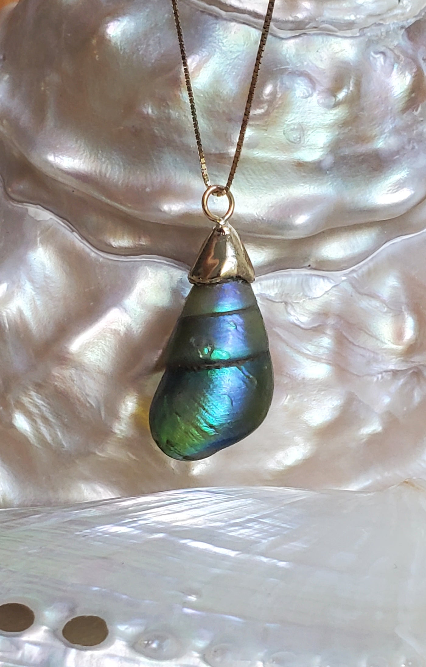 Enchanted Blue Green Kelp Shell Necklace * Medium II