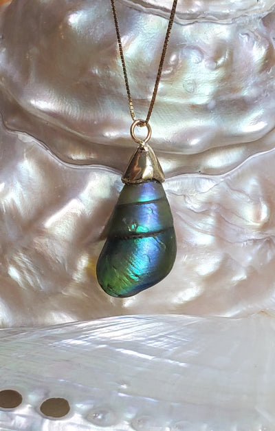 Enchanted Blue Green Kelp Shell Necklace * Medium II