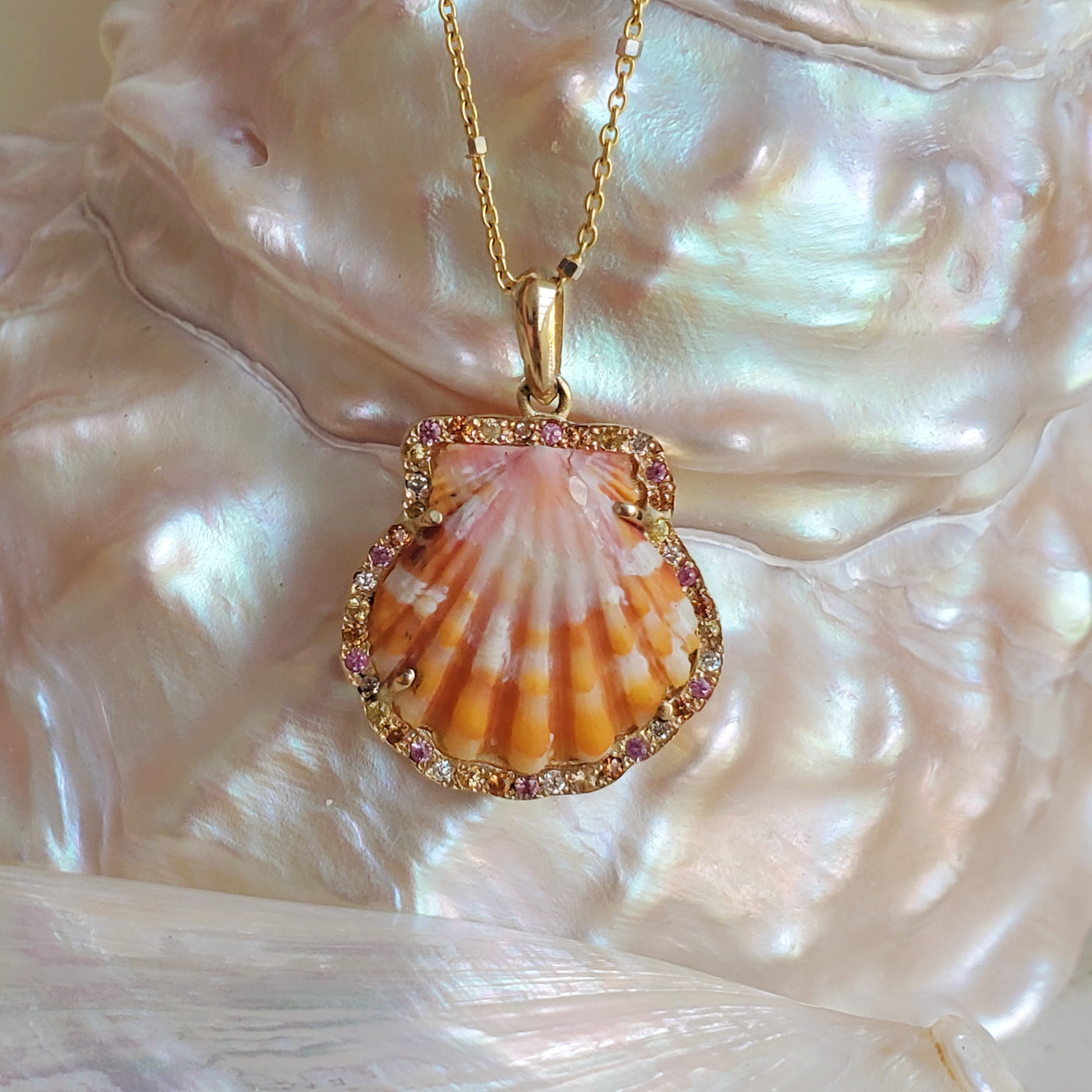 Enchanted Sunrise Shell Necklace  * Small