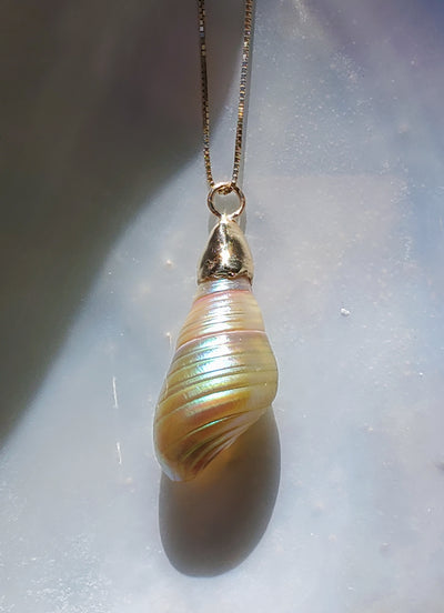 Enchanted Mauve Green Kelp Shell Necklace * Medium I