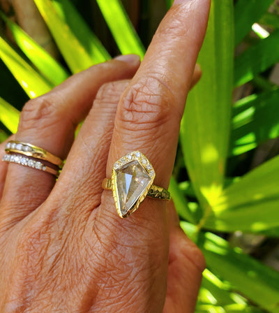 Enchanted Icy Shield Rustic Diamond Ring