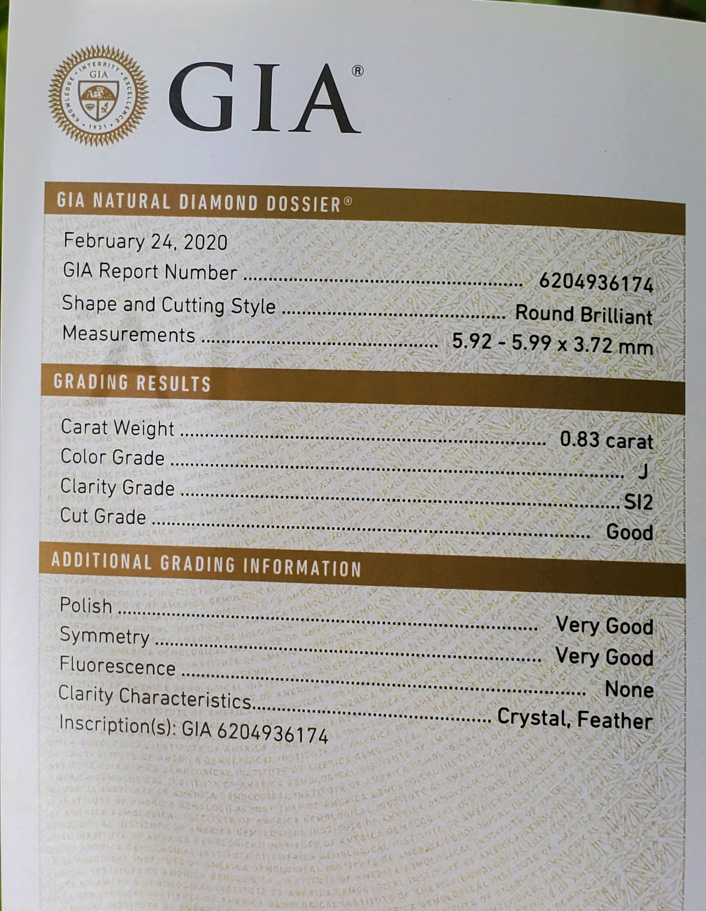 Guardian Diamond Necklace  - w/ GIA Certificate