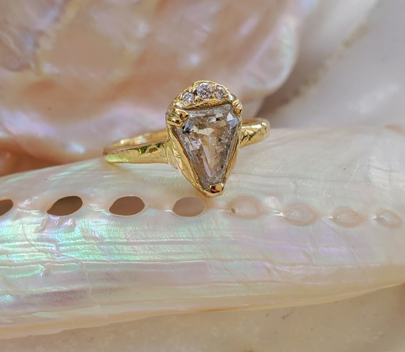 Enchanted Icy Salt & Pepper Shield Diamond Ring