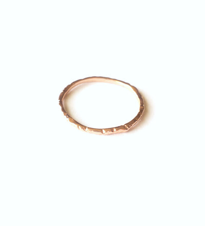 Guardian Circle of Protection Ring